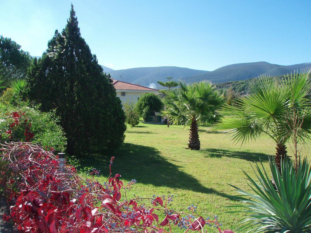 Finikes Studios Kefalonia Sami  Exterior photo