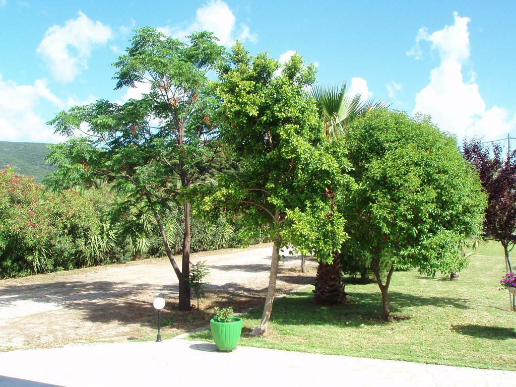 Finikes Studios Kefalonia Sami  Exterior photo