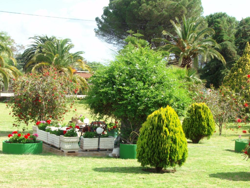 Finikes Studios Kefalonia Sami  Exterior photo