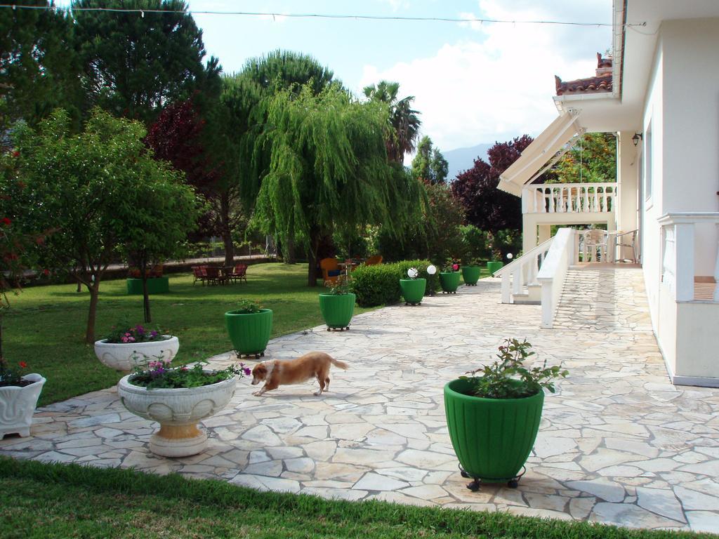 Finikes Studios Kefalonia Sami  Exterior photo