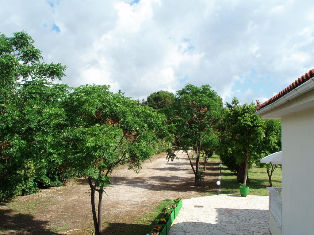 Finikes Studios Kefalonia Sami  Exterior photo